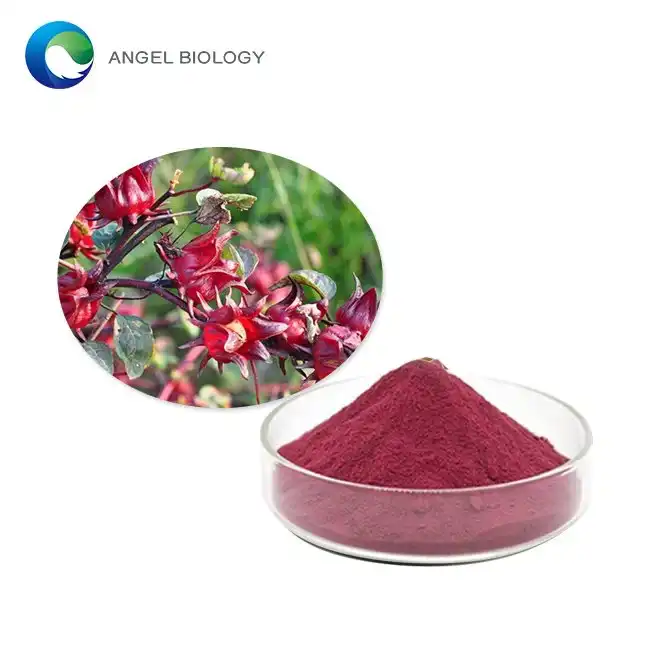 Hibiscus Flower Extract Powder